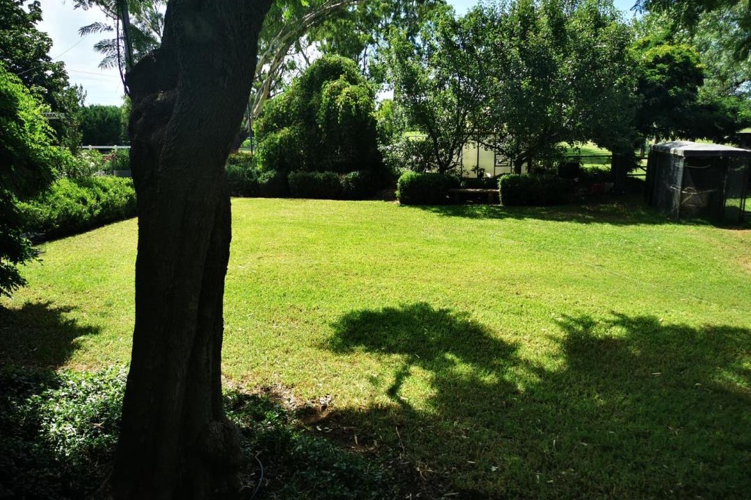 Photo of Others in East Tamworth