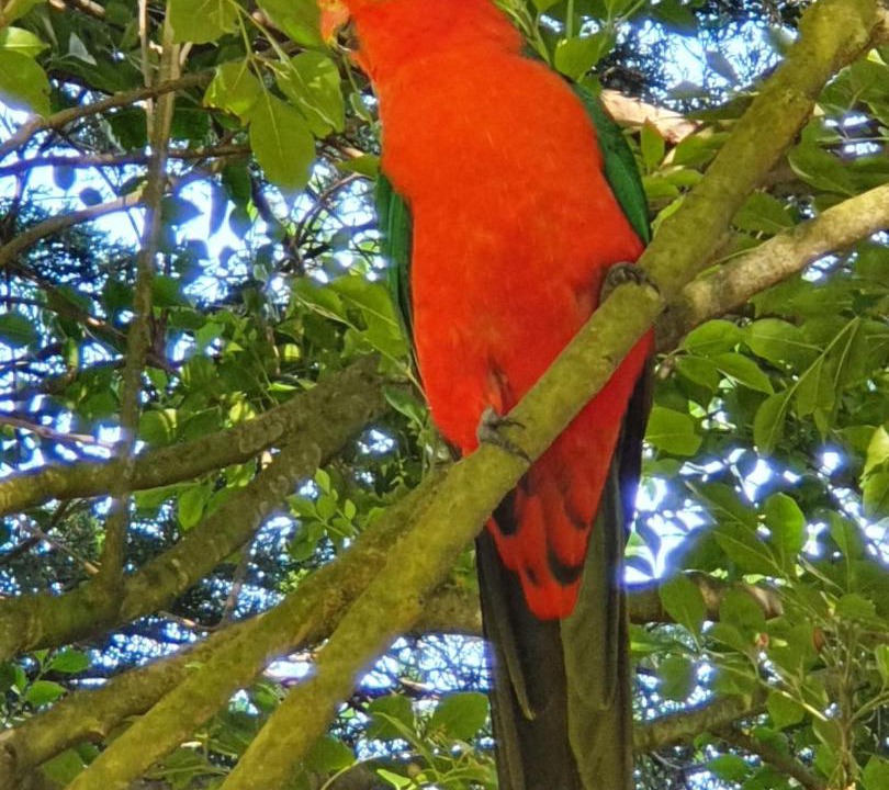 Photo of Others in Berrima
