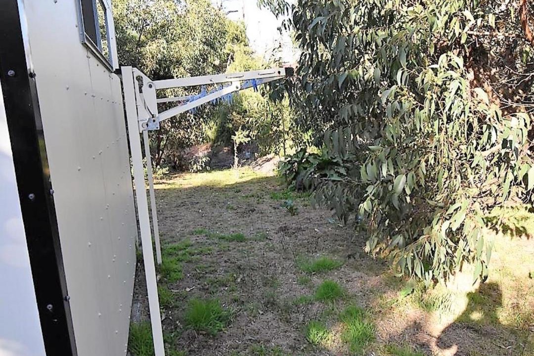 Photo of Others in Waratah