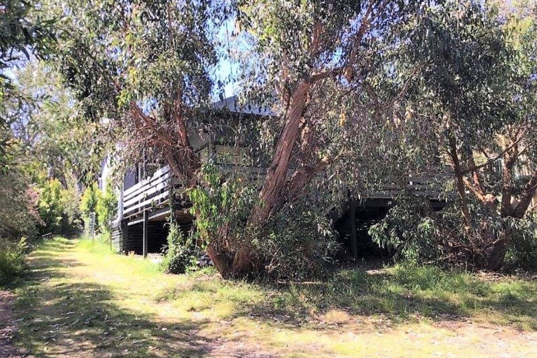 Photo of Others in Waratah