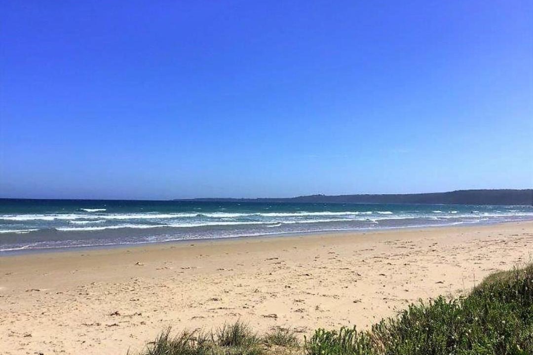 Photo of Others in Waratah