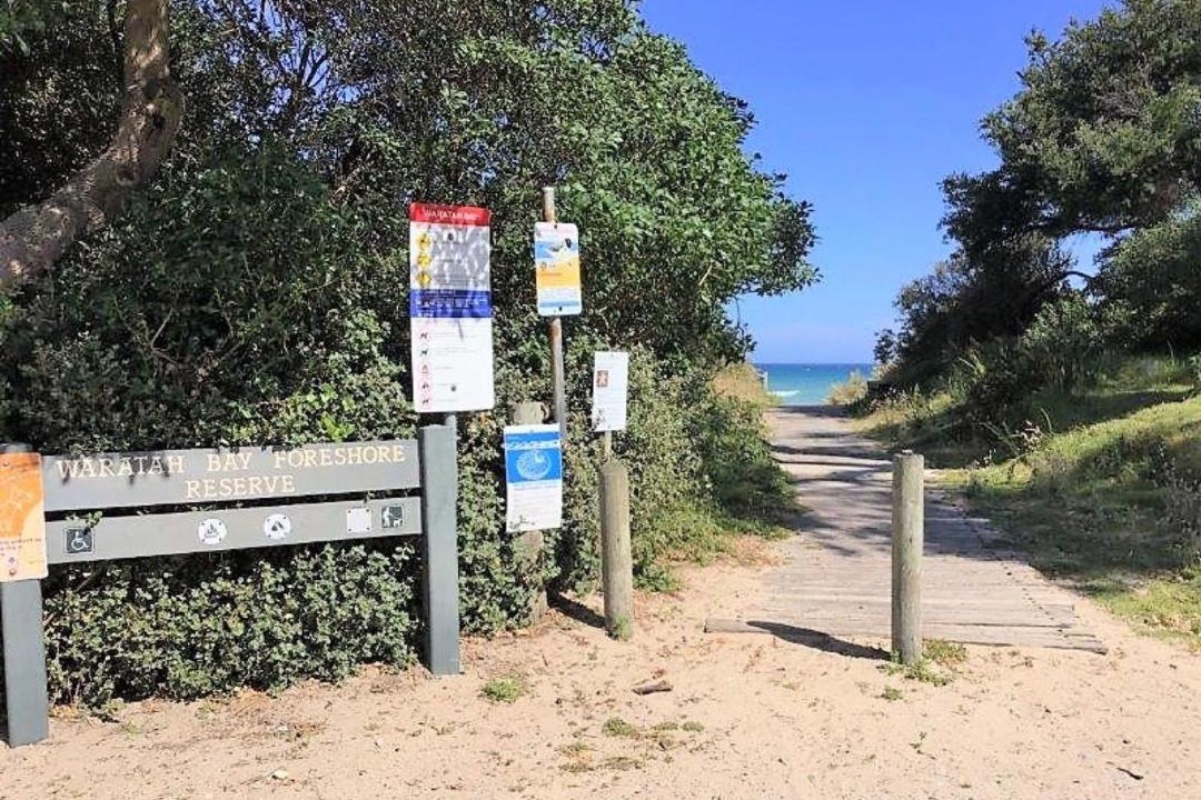 Photo of Others in Waratah