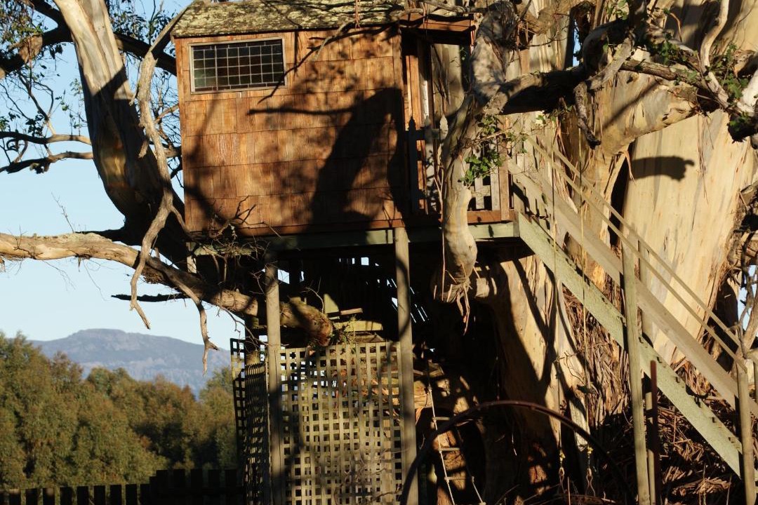Photo of Others in Promised Land