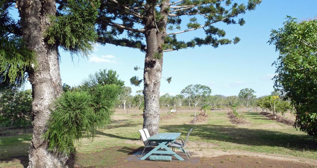 Photo of Others in Guthalungra