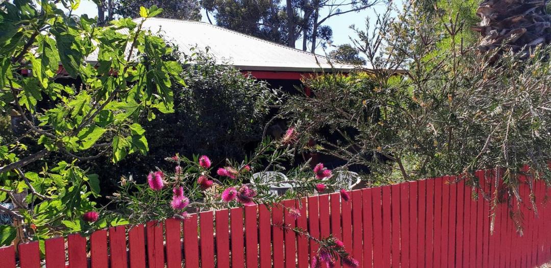 Photo of Others in Nannup