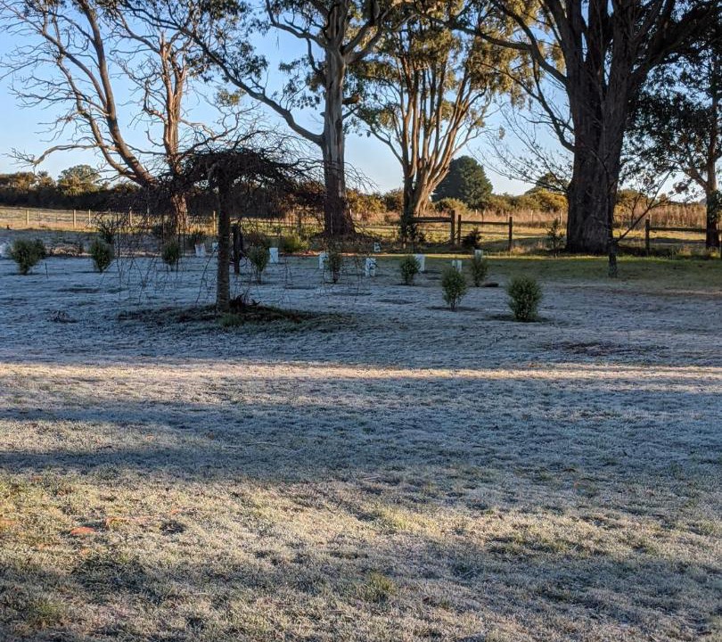 Photo of Others in Trentham East