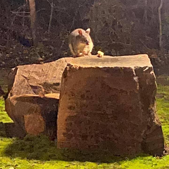 Photo of Others in Forest Grove