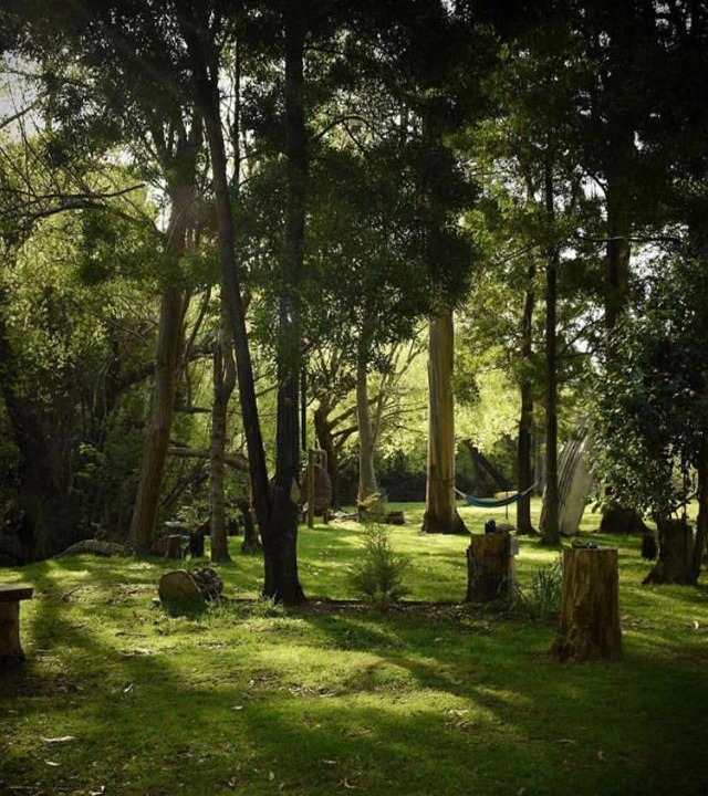 Photo of Others in Geeveston