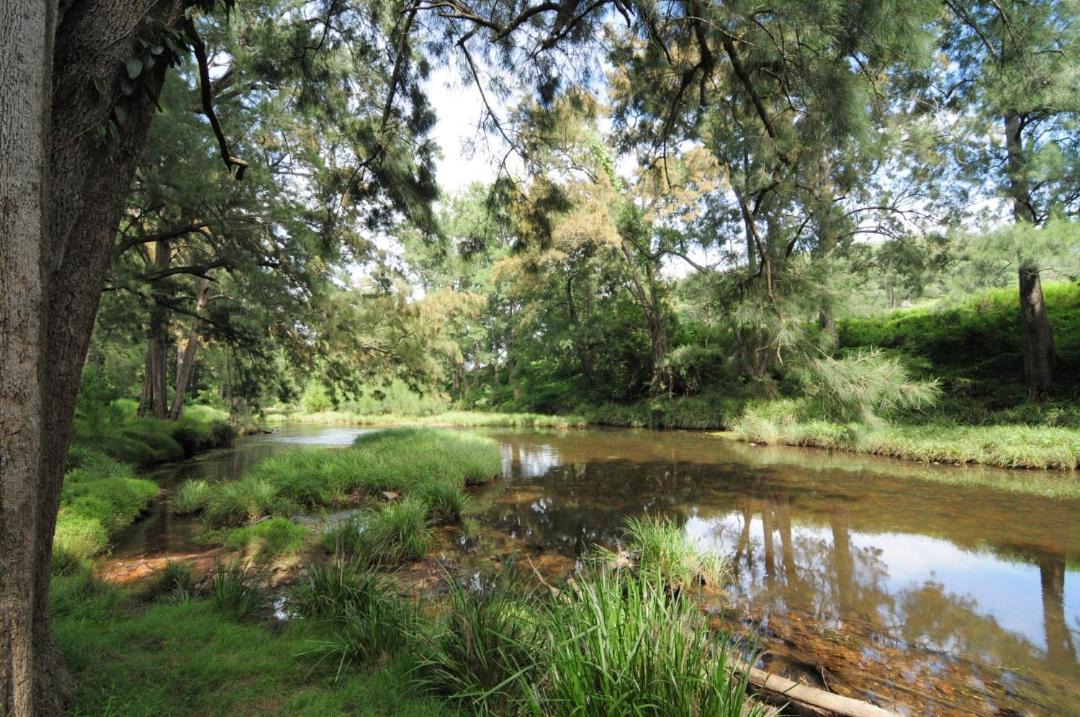 Photo of Others in Upper Kangaroo River