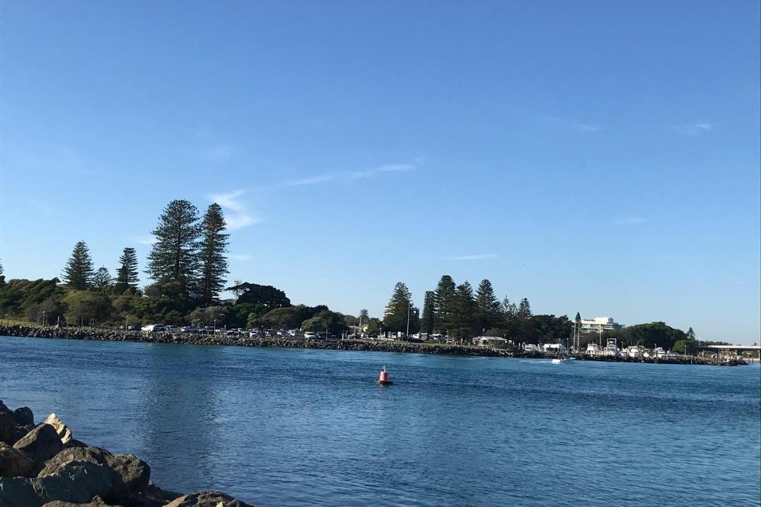 Photo of Others in Tuncurry