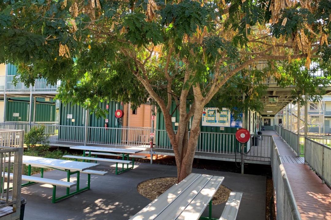 Photo of Others in Katherine South