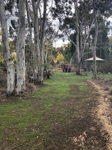 Photo of Others in Hill End
