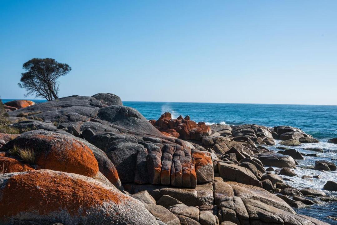 Photo of Others in Binalong Bay