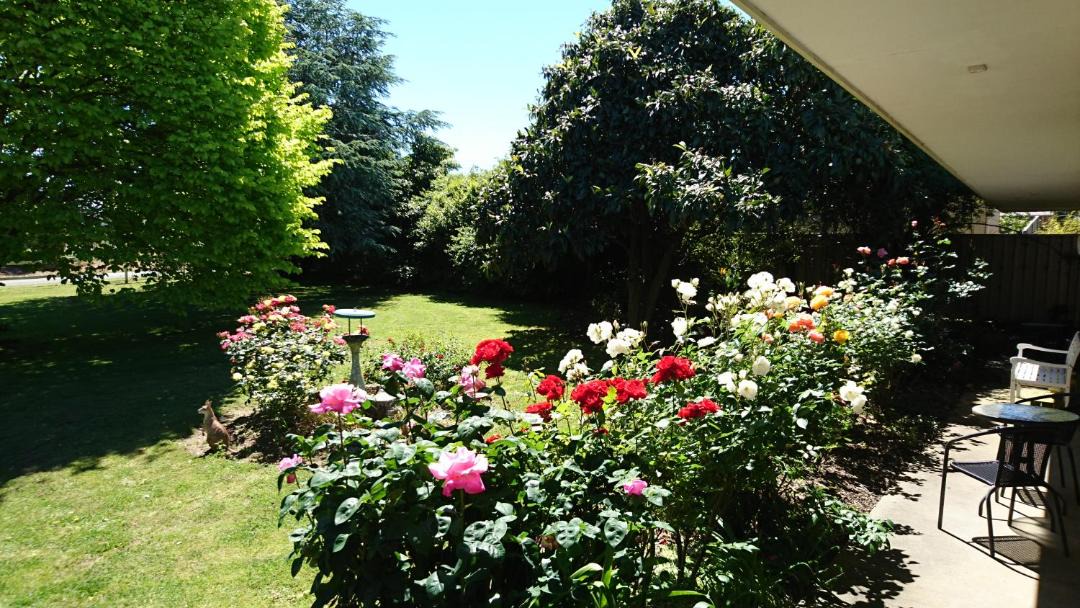 Photo of Others in Leongatha