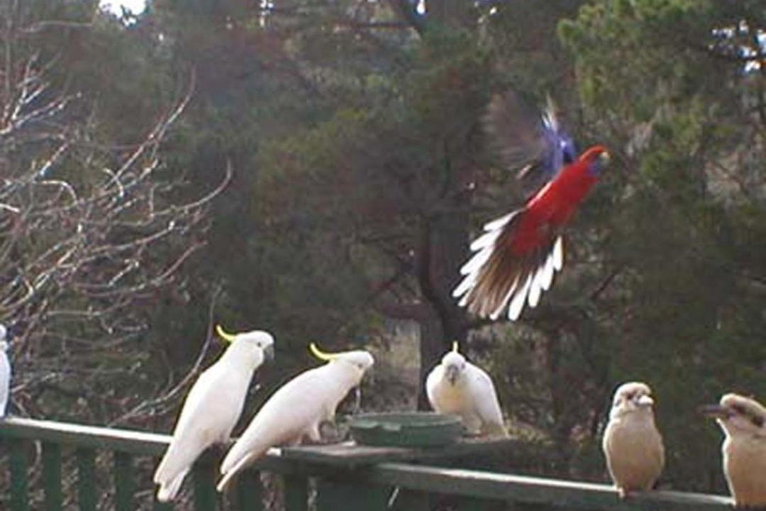 Photo of Others in Hepburn Springs