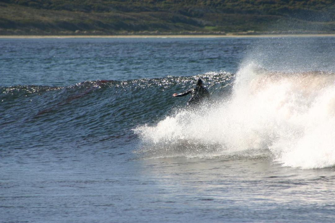 Photo of Others in South Bruny