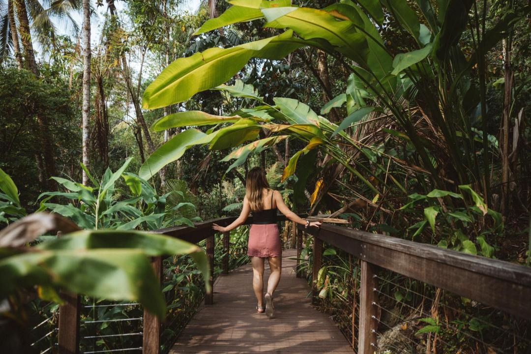 Photo of Others in Lower Daintree