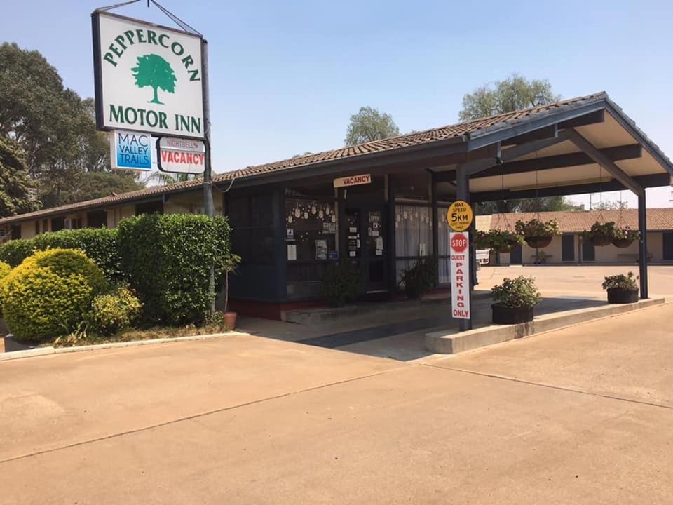 Photo of Others in Narromine