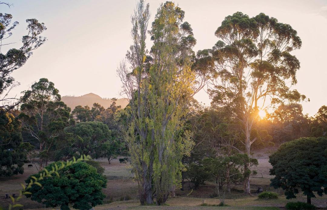 Photo of Others in Porongurup