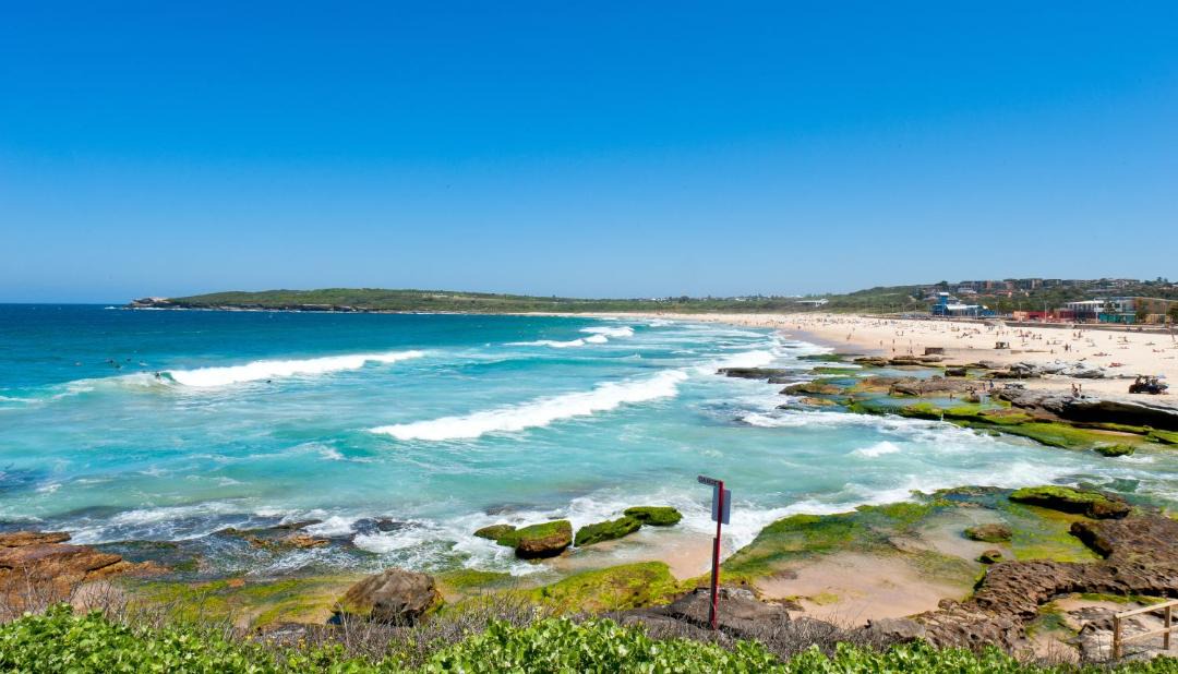 Photo of Others in Maroubra South