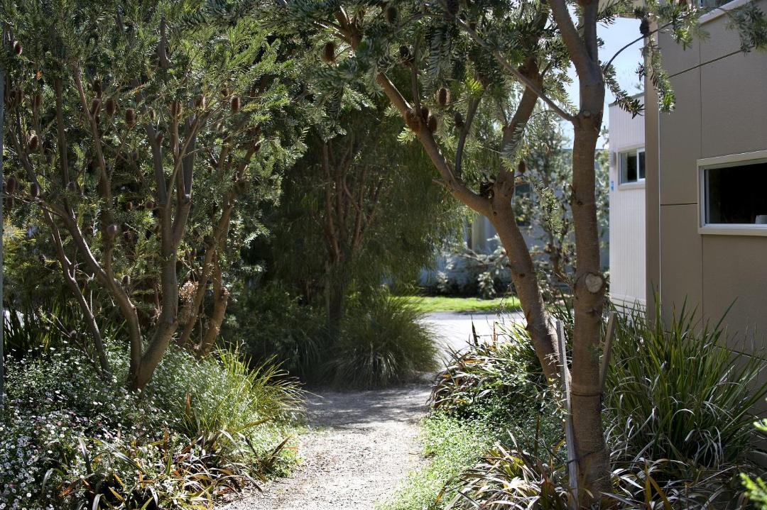 Photo of Others in Queenscliff