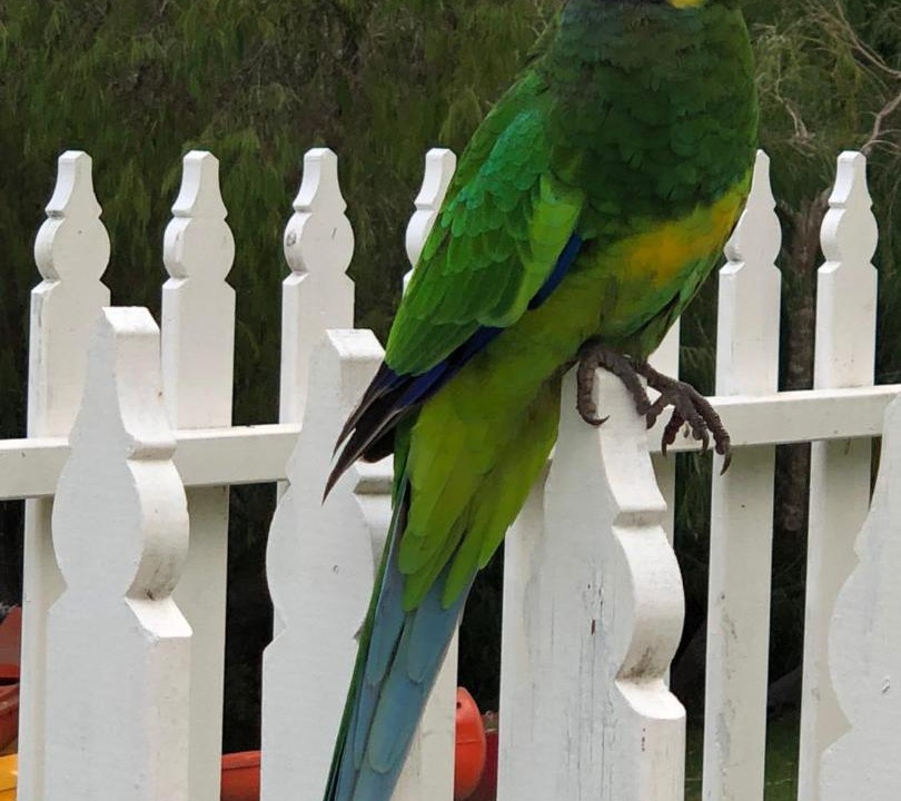 Photo of Others in Margaret River