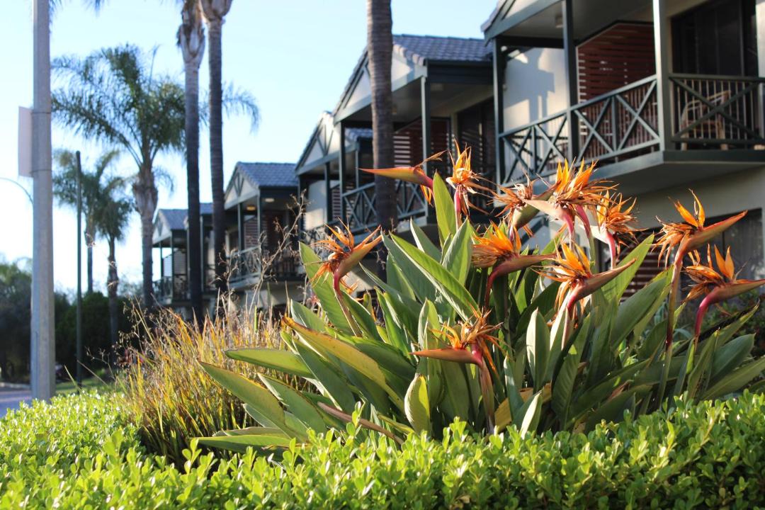 Photo of Others in Renmark
