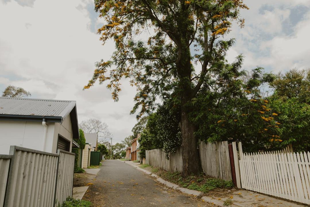Photo of Others in East Maitland