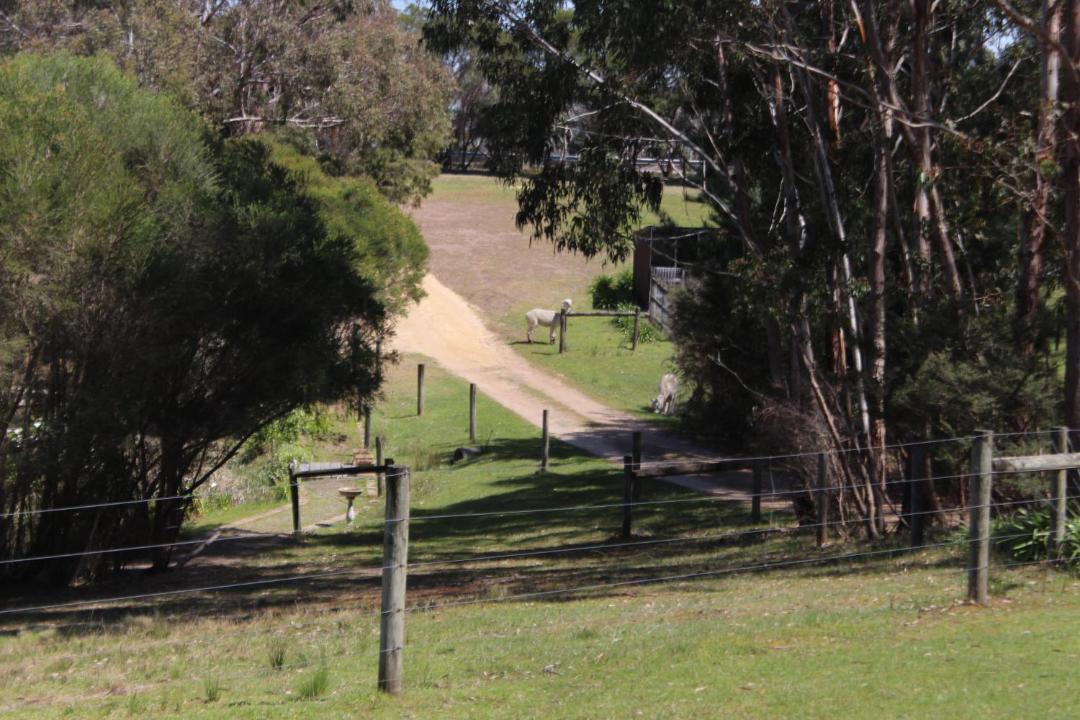 Photo of Others in Bellbrae