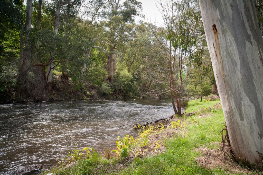 Photo of Others in Warburton