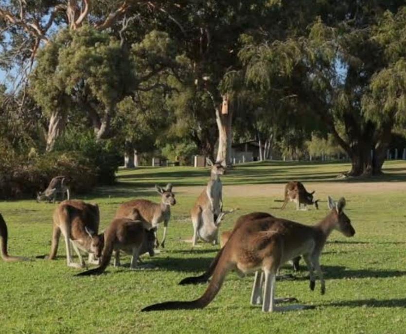 Photo of Others in Creswick