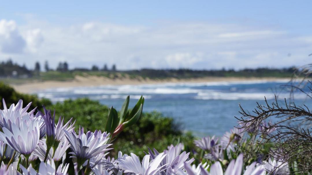Photo of Others in Bateau Bay