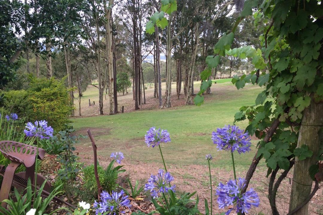 Photo of Others in Pokolbin