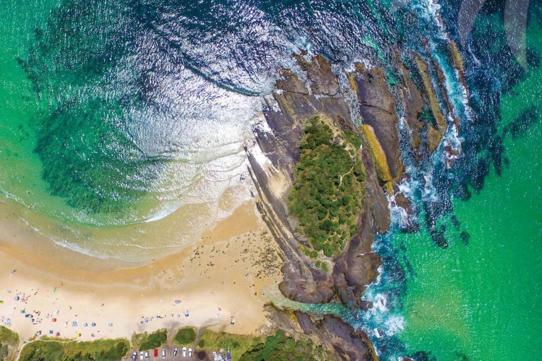 Photo of Others in Seal Rocks