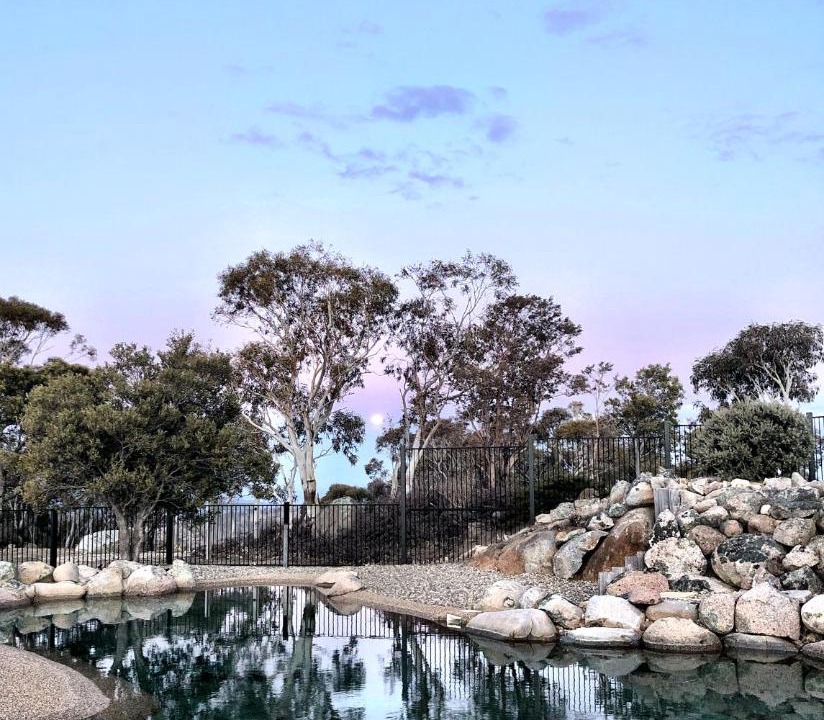 Photo of Others in Crackenback