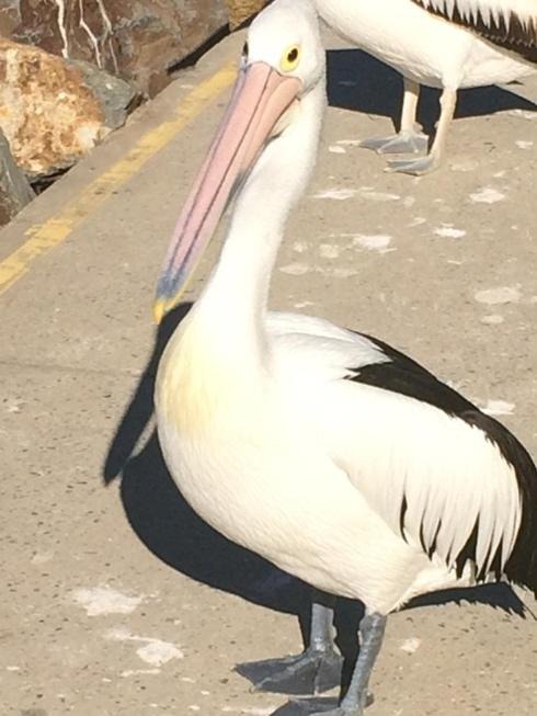 Photo of Others in North Haven