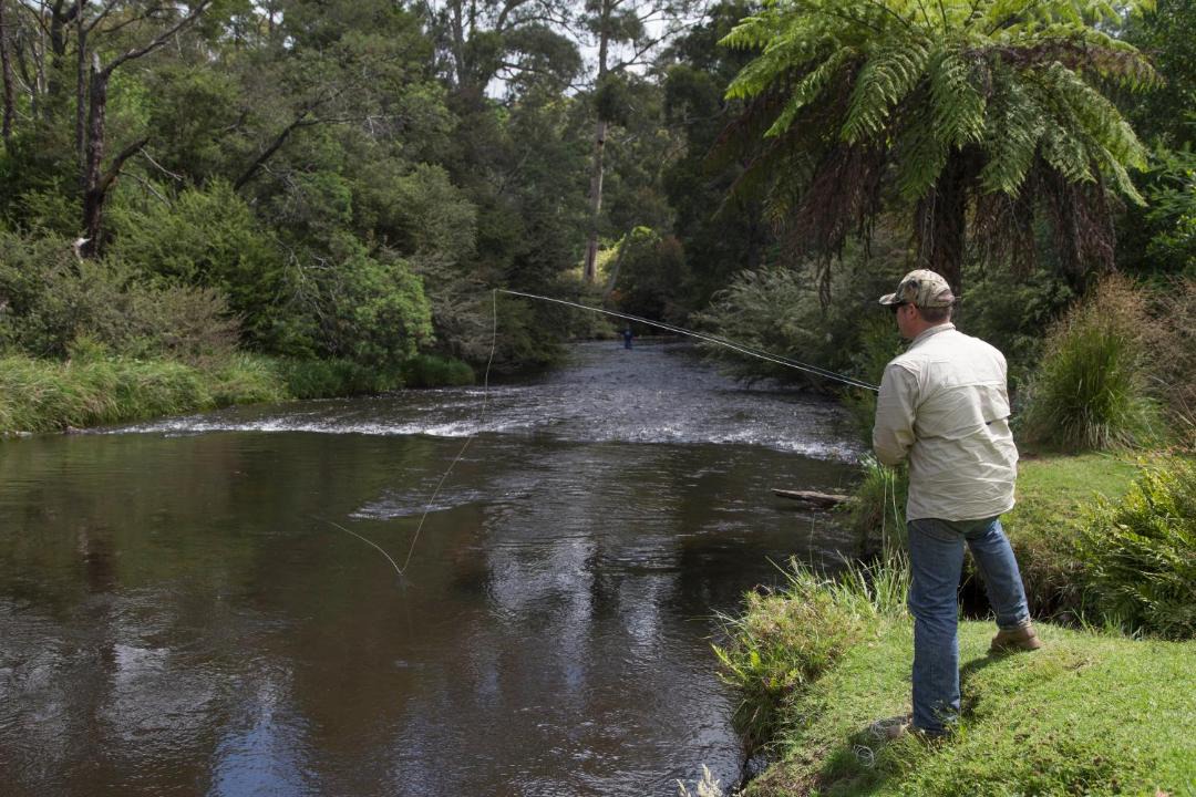 Photo of Others in Warburton