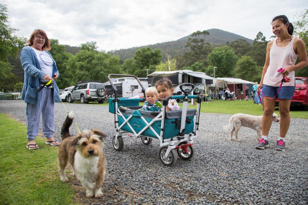 Photo of Others in Warburton