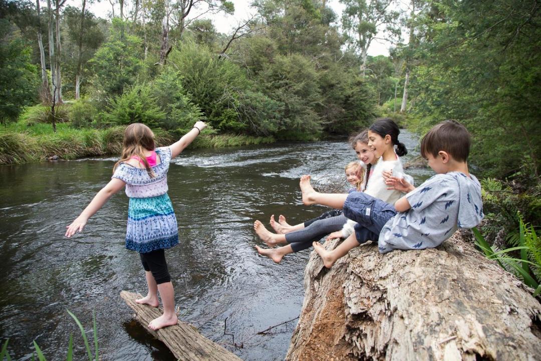 Photo of Others in Warburton