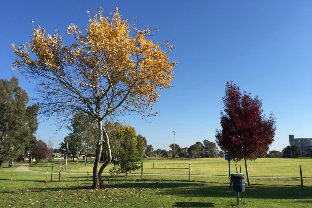 Photo of Others in Junee