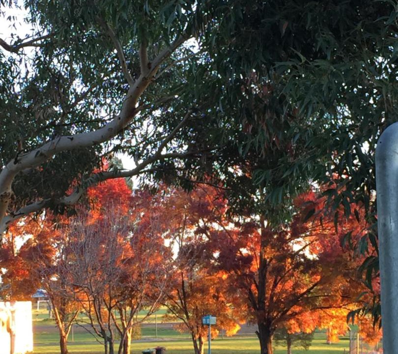Photo of Others in Junee
