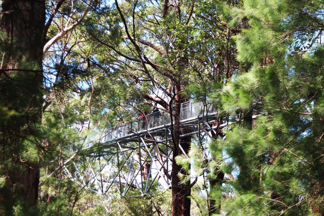 Photo of Others in Nornalup