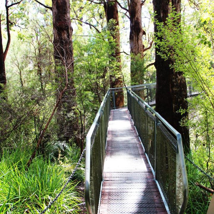 Photo of Others in Nornalup
