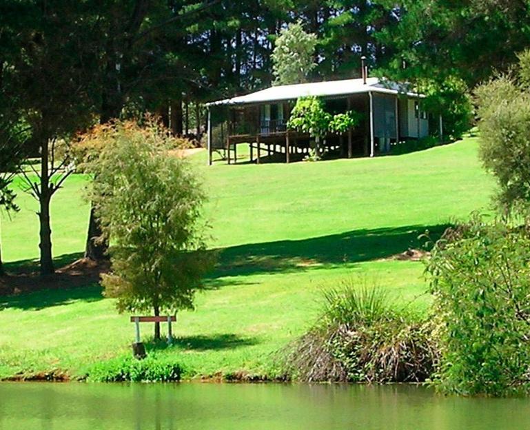 Photo of Others in Yeagarup