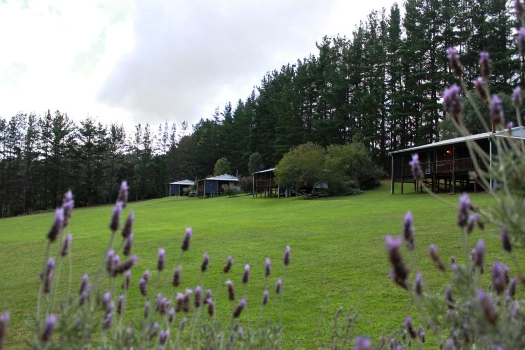 Photo of Others in Yeagarup