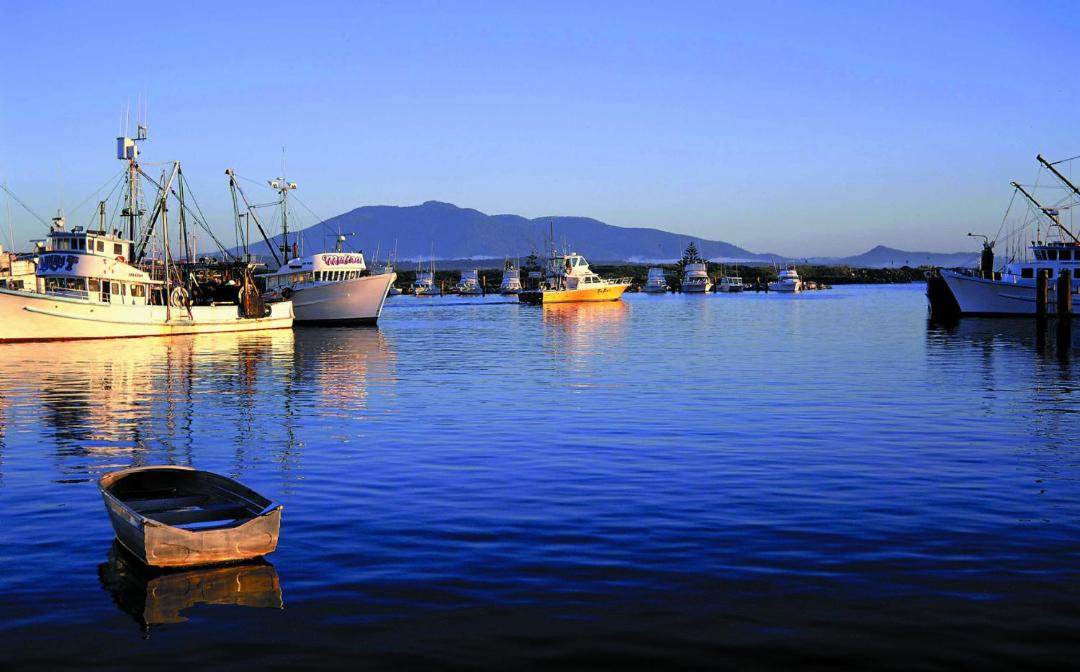 Photo of Others in Bermagui