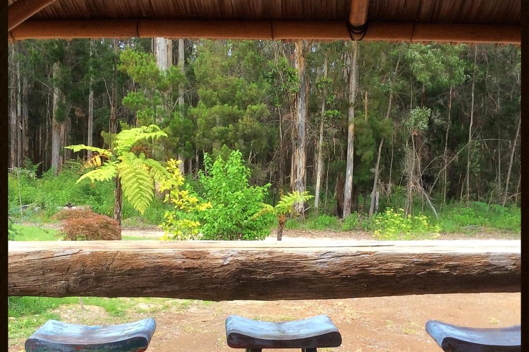 Photo of Others in Yeagarup