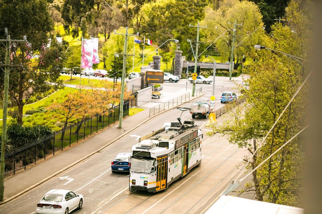 Photo of Others in Flemington