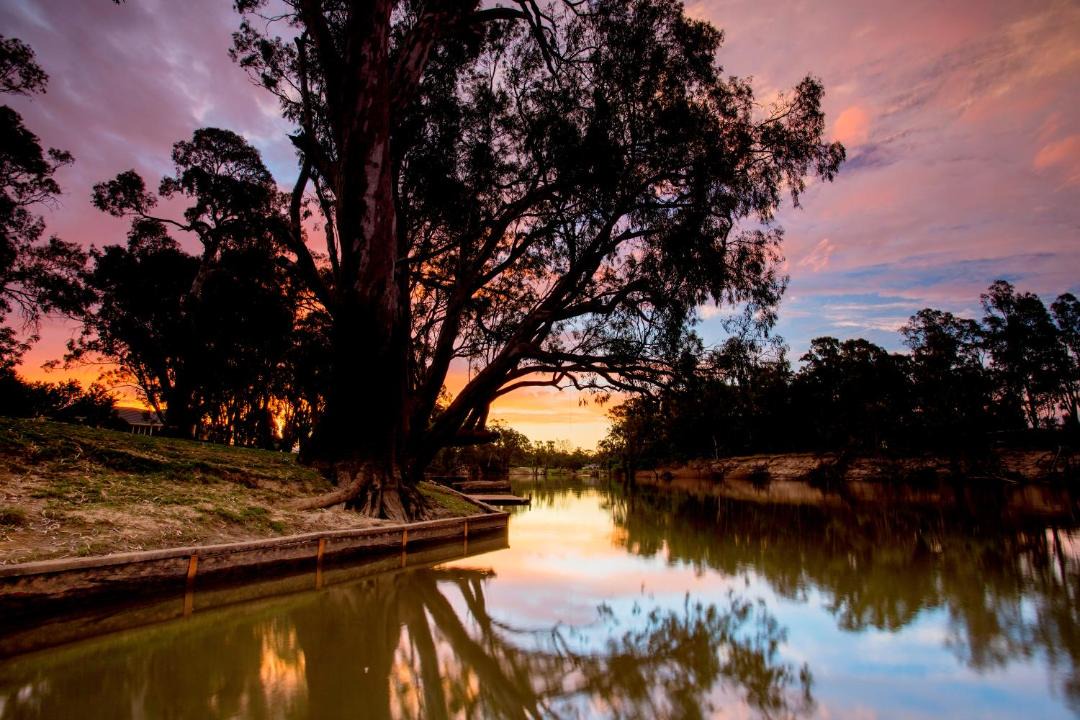 Photo of Others in Deniliquin