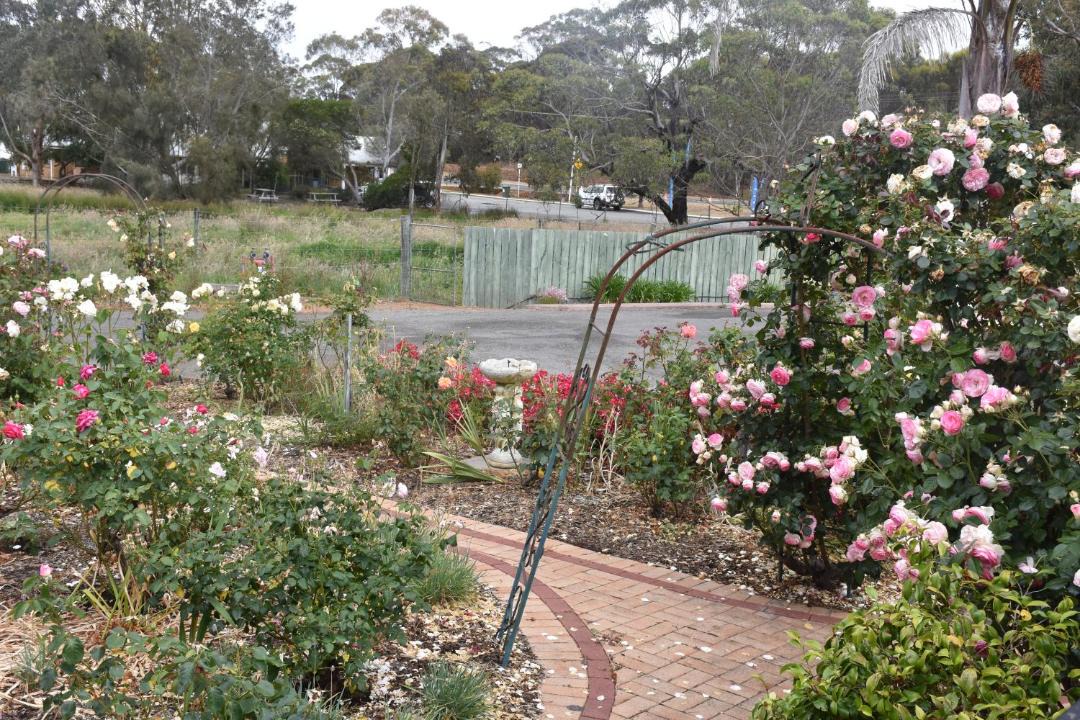 Photo of Others in Mount Barker